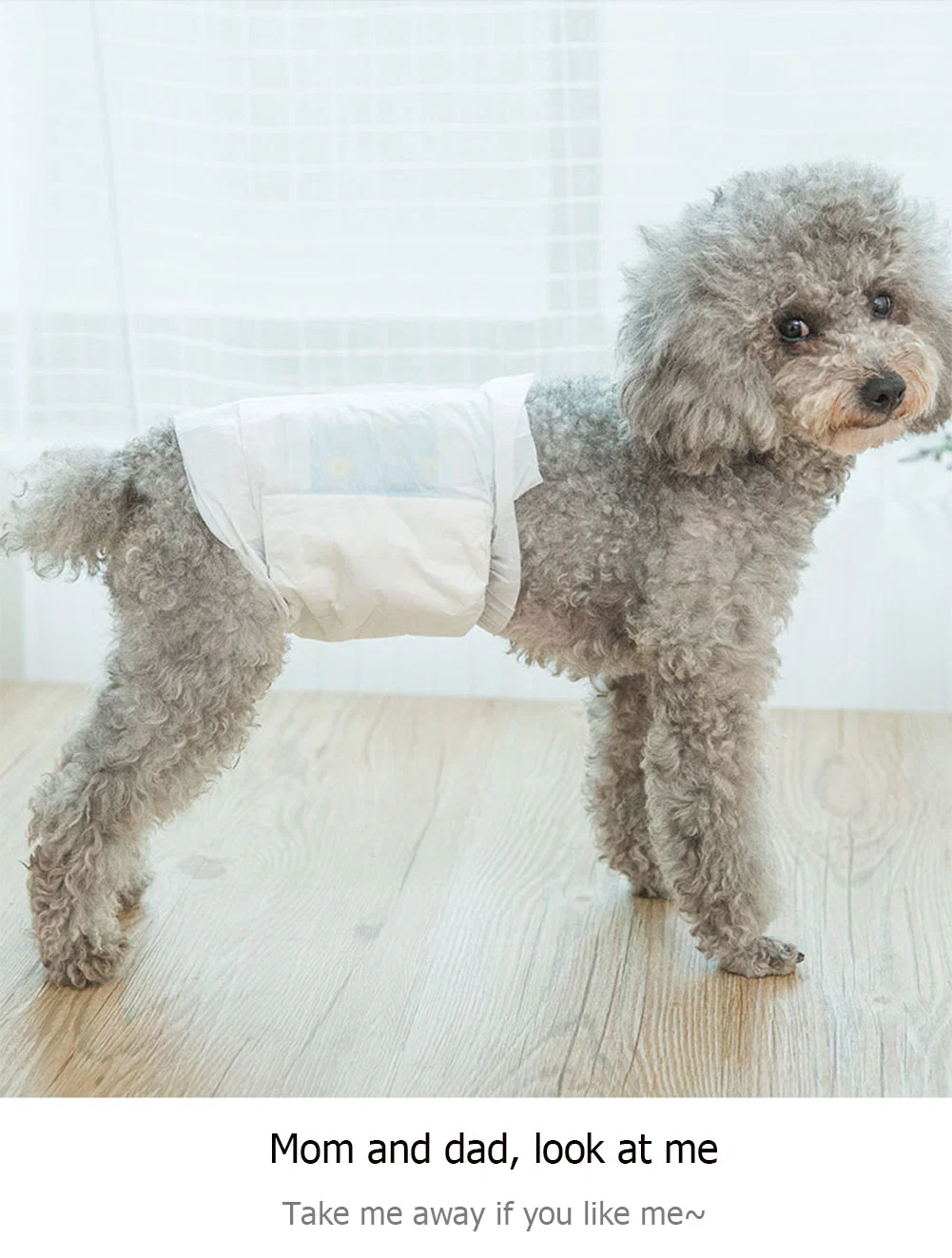 40 Feet Container Wholesale Super Absorbent Soft Female Male Dog Diapers Pet Diaper Disposable